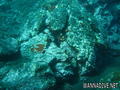 foto de buceo