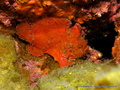 foto de buceo