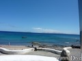 scuba diving photo