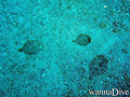 foto de buceo