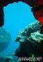 scuba diving photo