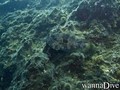 foto de buceo
