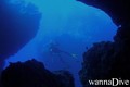 scuba diving photo