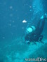 scuba diving photo