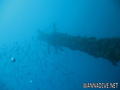 foto de buceo