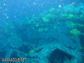 foto de buceo