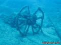scuba diving photo