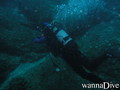 scuba diving photo