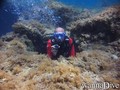 foto de buceo