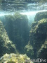 photo de plongée