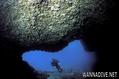 scuba diving photo