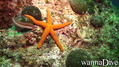 foto de buceo