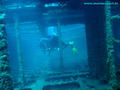 scuba diving photo