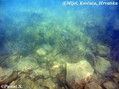 scuba diving photo