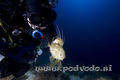 scuba diving photo