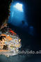 scuba diving photo