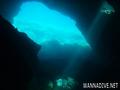 scuba diving photo