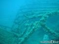 scuba diving photo