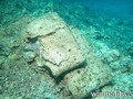 scuba diving photo
