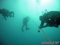 scuba diving photo