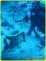 scuba diving photo