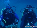 scuba diving photo