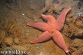 foto de buceo