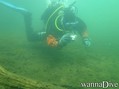scuba diving photo