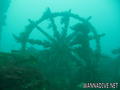 scuba diving photo