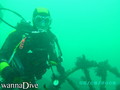scuba diving photo