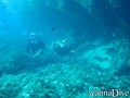 scuba diving photo