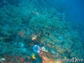 foto de buceo