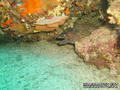 foto de buceo