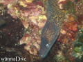 foto de buceo