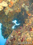 foto de buceo