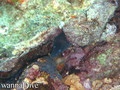 foto de buceo