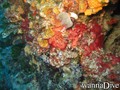 foto de buceo