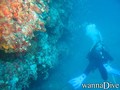 foto de buceo