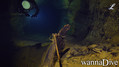 foto de buceo