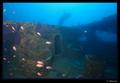 scuba diving photo