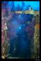 scuba diving photo