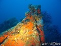 scuba diving photo