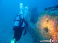 scuba diving photo