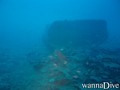 scuba diving photo