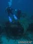 scuba diving photo