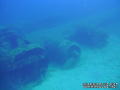 scuba diving photo