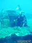 scuba diving photo