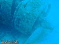 scuba diving photo