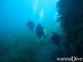 scuba diving photo