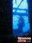 scuba diving photo